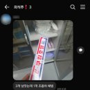 시드니시스터 | [시드니SYD] #7 시드니의 마지막 날 (본다이 비치, 아이스버그 수영장, 퍼블릭 바베큐)