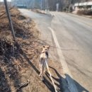 수산3리 이미지