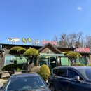 속초맛집코다리네 송탄직영점 이미지