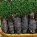 자연산약초마을 이미지