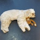 루이야학교가자 이미지