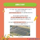 용수태양광발전소 이미지