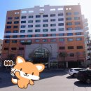 쉐레이 암반수사우나 이미지