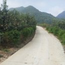 은티농장 이미지