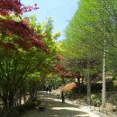 혜원장애인종합복지관 이미지