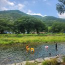 미우축산 네이버블로그