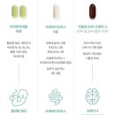 퍼스트맘닥터 네이버블로그