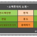 서면사무소 앞 도로 이미지