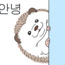 와우펫 네이버블로그