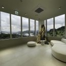 분당-211 이미지