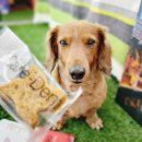 (주)우리덴탈 이미지