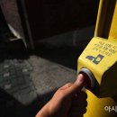 행운동-49 이미지