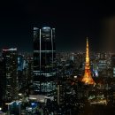 미래 티스토리