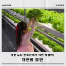 모던팜 | 대전 아이 체험 스마트팜 대전팜 모던 케이크 만들기 주차정보