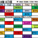 요가조이 네이버블로그