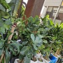 용진철강 이미지