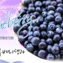 성일농장 이미지