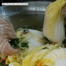 짱구네김치