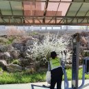 유방6통 이미지