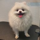 프랑소와펫(압구정점) 이미지