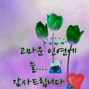 일등인력 이미지