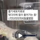 키다리아저씨 동물병원 이미지