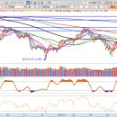 대호바이오메드 이미지