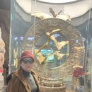 함평국화대전 이미지