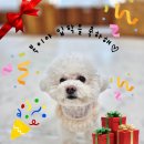 개스트룸 이미지