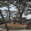 의림지-02 이미지