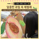 이화아이사랑미술학원