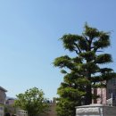 서감초등학교 이미지