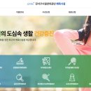 함평문화체육센터 체육관 | 공항동문화체육센터 수영 수강신청 성공 후기