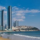 행정사사무소 바른 이미지