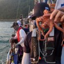 돌틈이 | 여수 문어 선상낚시 두번째