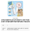 쿼드플레이 | 6월 23일 일상 (무신사 무진장 세일/나스 갈라파고스/정서불안김햄찌 굿즈