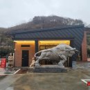 더웨이닝커피동부로점 티스토리
