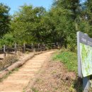 푸른수목원 이미지