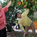 보성매일시장 이미지