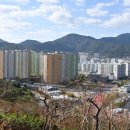 월영동281 이미지