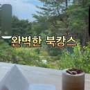 책읽는 아이로 키우기 | 강원도 숨은 힐링 명소, 숲속 북카페 &#39;카페 로그&#39; 후기 (feat. 우리 가족의 책육아 여행법)