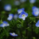 죽림3로 이미지