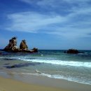 장미무도장 이미지