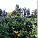 옥림농장 이미지