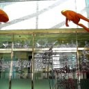 시흥시생명농업기술센터 이미지