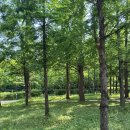 늘솔길숲이야기 화장실 이미지