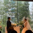 루루하우스 | 더베일리하우스 삼성점 본식 하객 후기(밝은홀, 식사 솔직후기)