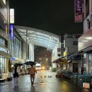 상맹방길 | 추석맞이 삼척 가족여행 씨포스빌 리조트 후기… 삼척대왕횟집
