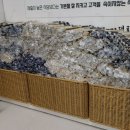 수천김밥