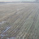 사봉면-8 이미지